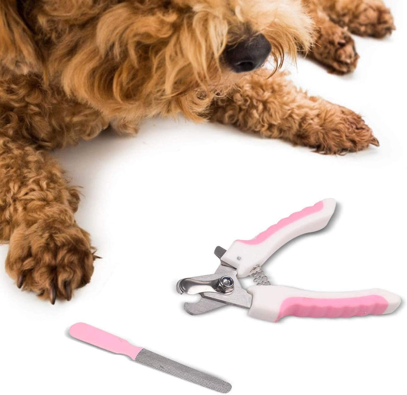 Pet Nail Clipper, Pet Nail Clipper Claw Care Tools,Animal Claws Scissor Cut, Nail Clippers and Trimmer with Nail File for Dogs Cats Birds Pet Small Animals - PawsPlanet Australia