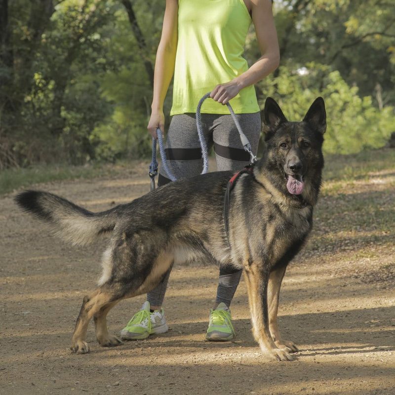 [Australia] - Head Tilt Adjustable Padded Dog Harness Small Red 