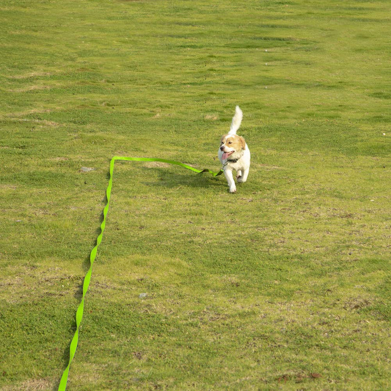 Vivifying Dog Training Lead Leash, 20FT/6M Long Nylon Training Dog Leash for Pet Tracking Training Obedience Lead Leash (Green) Green - PawsPlanet Australia