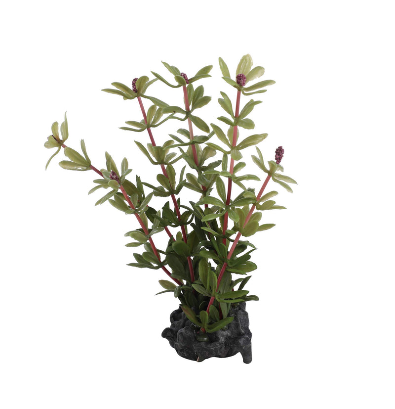 [Australia] - CNZ 3 Pcs Assorted Lifelike Green Aquarium Plastic Plant Decoration 