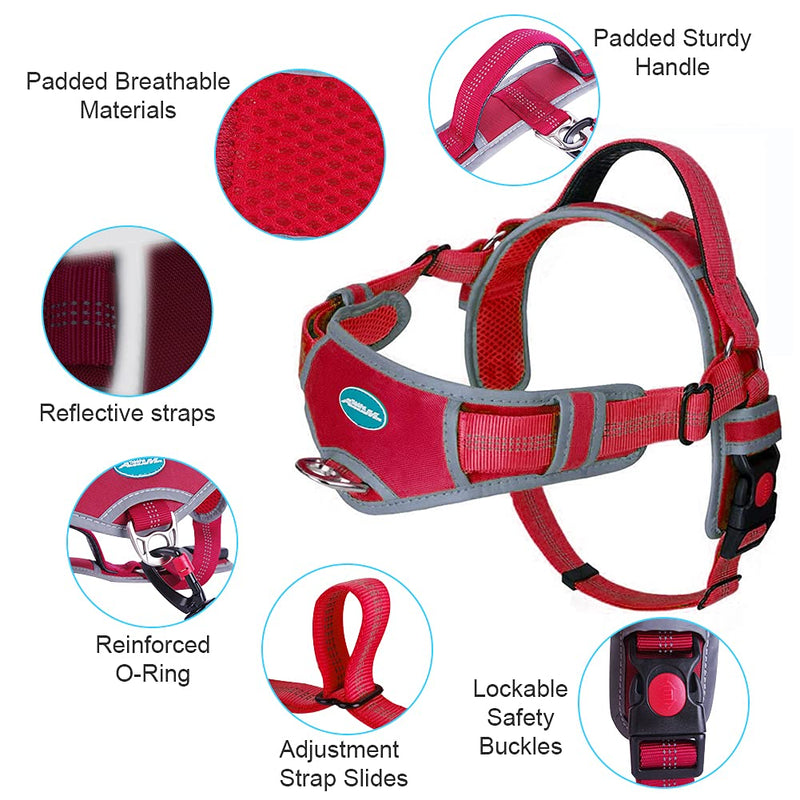 ThinkPet No Pull Hundegeschirr Breathable Sport Harness - Escape Proof/Quick Fit Reflective Padded Dog Safety Vest with Handle Back/Front Clips, Easy for Walking Training S(Chest:51—62cm,Neck:32—47cm) Red - PawsPlanet Australia