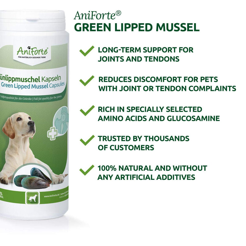 AniForte Green Lipped Mussel for Dogs and Cats 500mg x 300 Capsules - 100% Natural Joint Supplement with Glucosamine, Lipids, Omega-3 Fatty Acids, Minerals and Amino Acids - PawsPlanet Australia