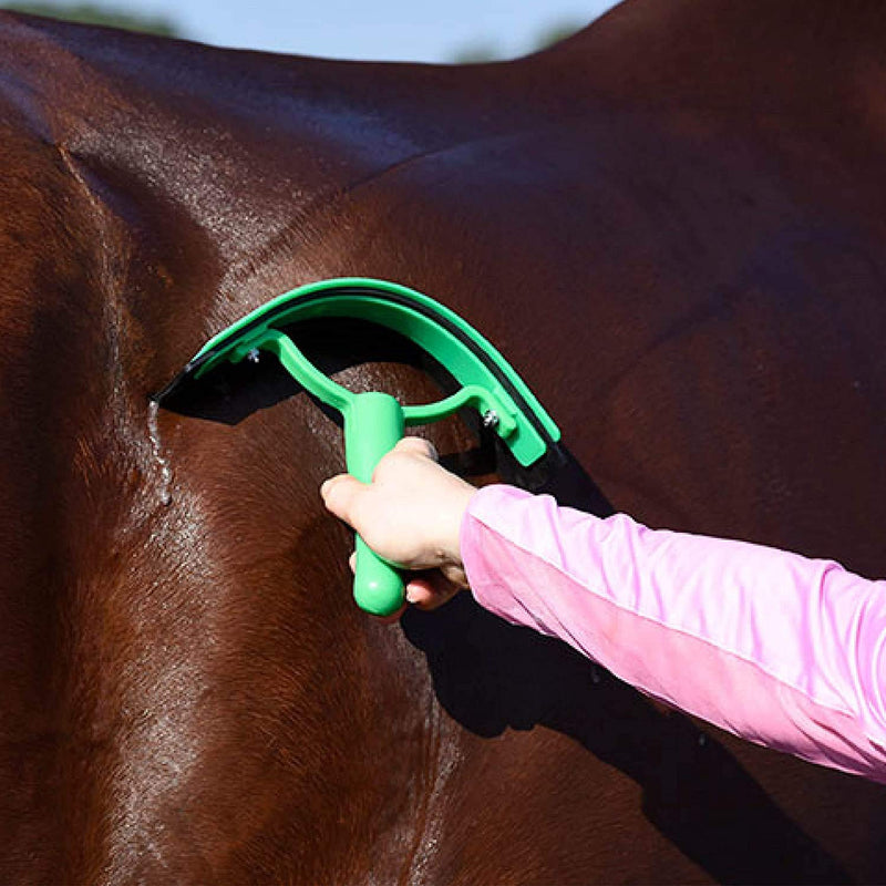 Happy Horse Thick Rubber Sweat Scraper Red - PawsPlanet Australia