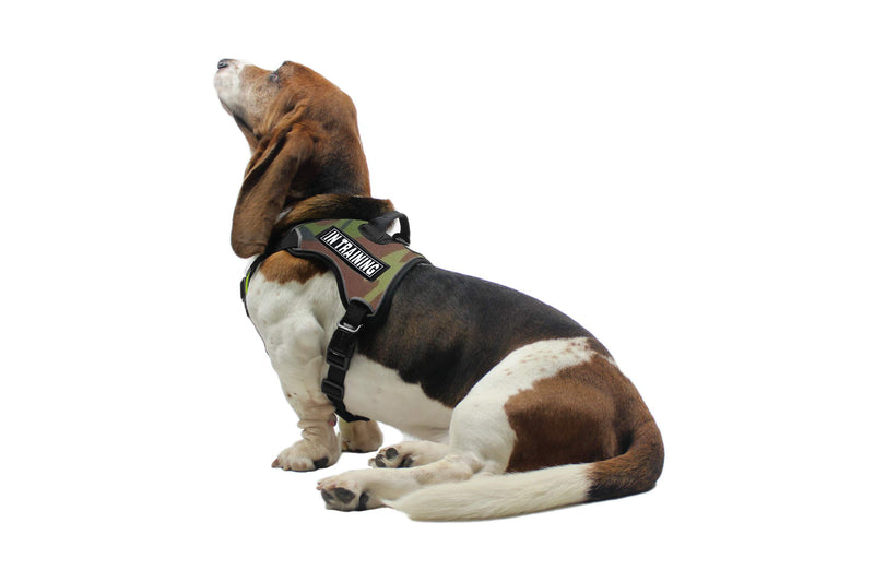 [Australia] - Dogline Quest No-Pull Dog Harness with 3D Rubber in Training Removable Patches Reflective Soft Comfortable Dog Vest with Quick Release Dual Buckles Black Hardware and Handle Girth 21" to 25" Green Camo 