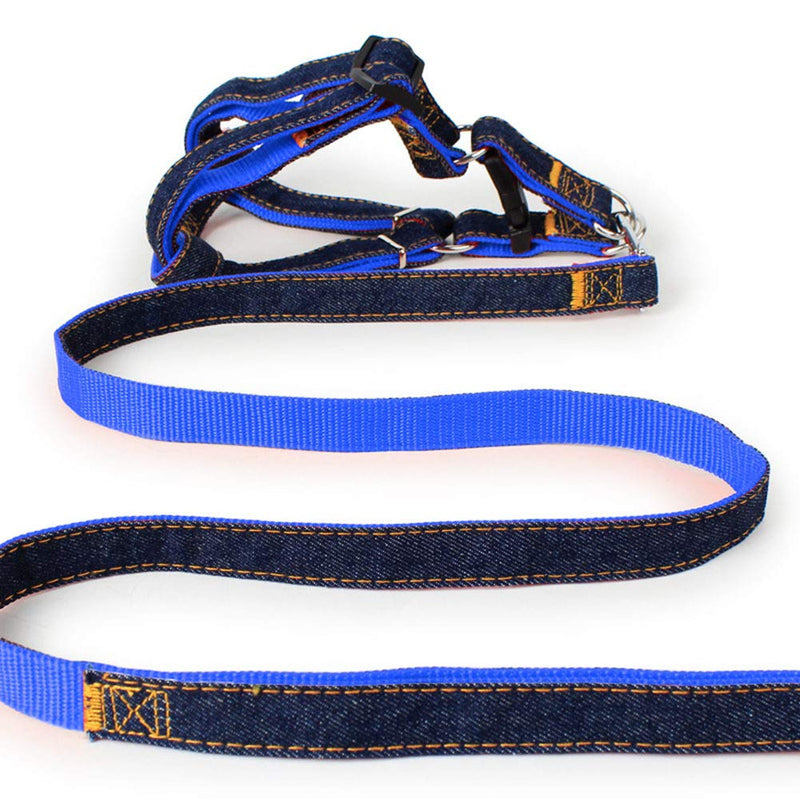 [Australia] - Dormencir Durable Basic Leashes Harness Set Pet Dog Slip Rope Leash Adjustable Strong Dogs Leash Collar for Small Medium and Large Dog Perfect for Daily Training Walking Running L(16.5"-28.5" Chest) Blue 