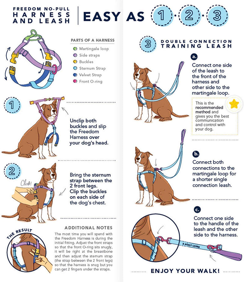 [Australia] - 2 Hounds Design Freedom No-Pull Dog Harness and Leash, Adjustable Comfortable Control for Dog Walking, Made in USA (Large 1") (Turquoise) 