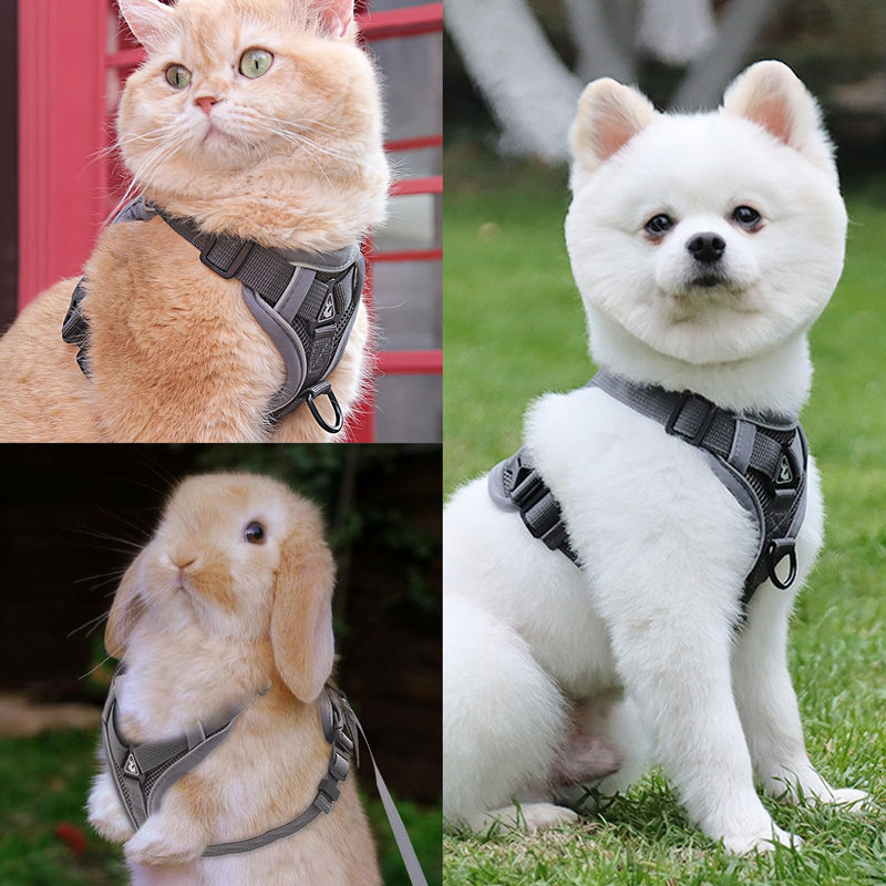 FINEASY Cat Harness with Leash, Escape-Proof and Cat Collar, Adjustable Cat Leash with Harness, Harness Set, Cat Harness, Soft Harness for Cats, Kittens, Dogs, Chest Harness (Grey, S) Grey - PawsPlanet Australia