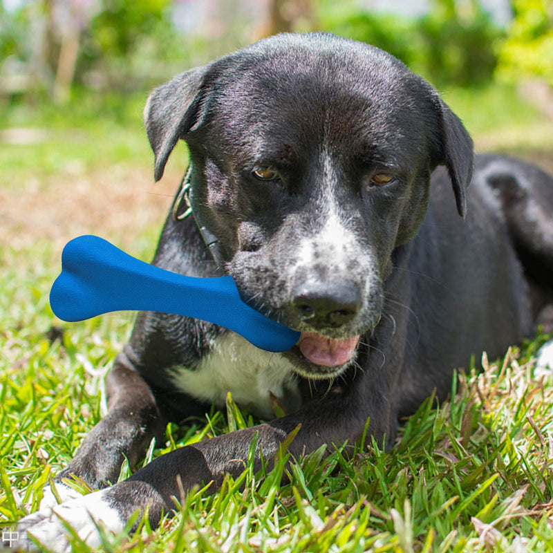 Qesonoo Dog Toys for Aggressive Chewers Dog SuperChewy Tough Dog Bone Toy for Large Medium Dogs Breed Strong Natural Rubber Bones Blue - PawsPlanet Australia