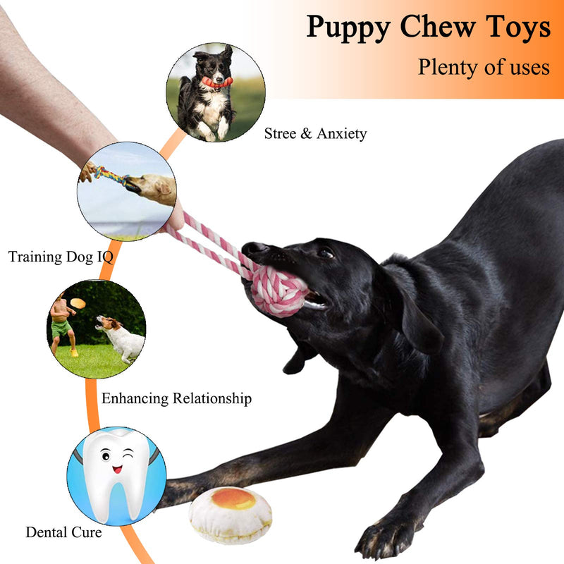 STAY GENT Puppy Toys for Small Dogs, 13 Packs Indestructible Dog chew Toys Dog Rope Toys for Aggressive Chewers, Training and Tug of War Game - PawsPlanet Australia
