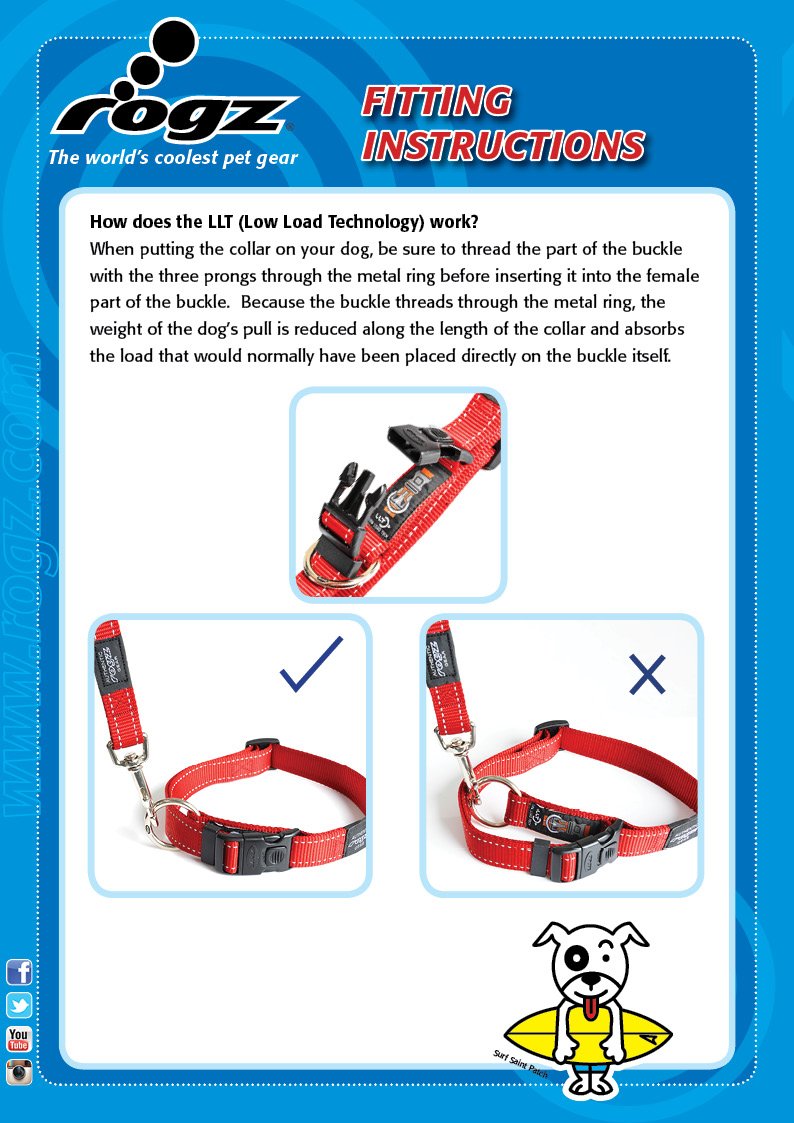 [Australia] - Rogz Utility Large 3/4-Inch Reflective Fanbelt Dog Collar Blue 