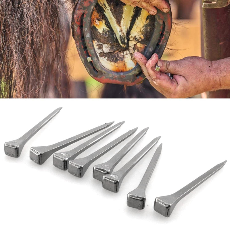 JJHXSM 30PCS Horseshoe Nails Equestrian Sport Equipment Horse Training Supplies Tool for Fixed Lead or Glass E5 51mm - PawsPlanet Australia