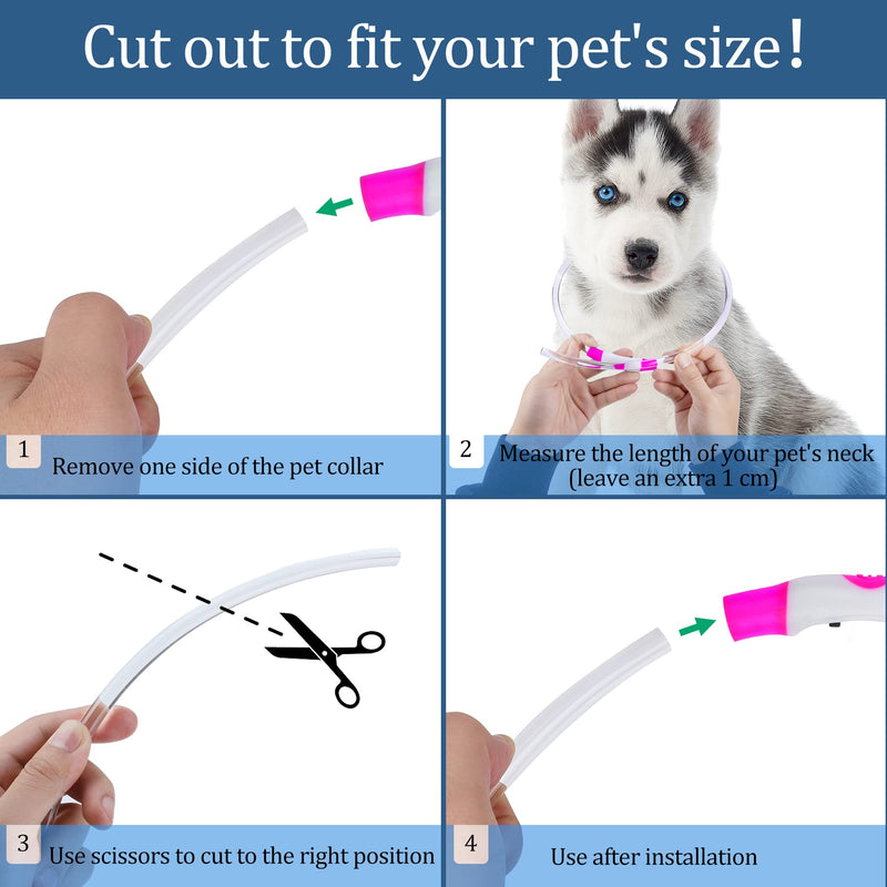 Coolzon LED light collar, rechargeable dog collar, waterproof dog collar, 3 modes, light band, dog collar, length adjustable, super bright collar, cat and dog, small, large, medium, pink - PawsPlanet Australia