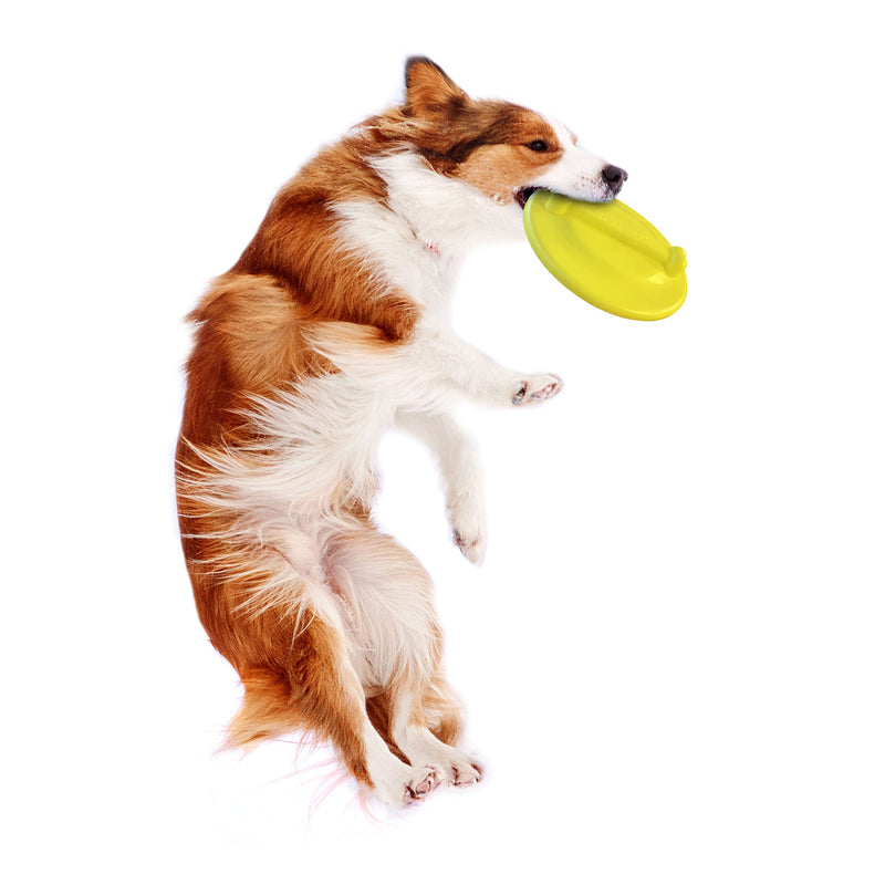 Nylabone Power Play Fetch Toys for Dogs, Interactive Dog Toys for Dogs Large (1 Count) Ultra Glider - PawsPlanet Australia