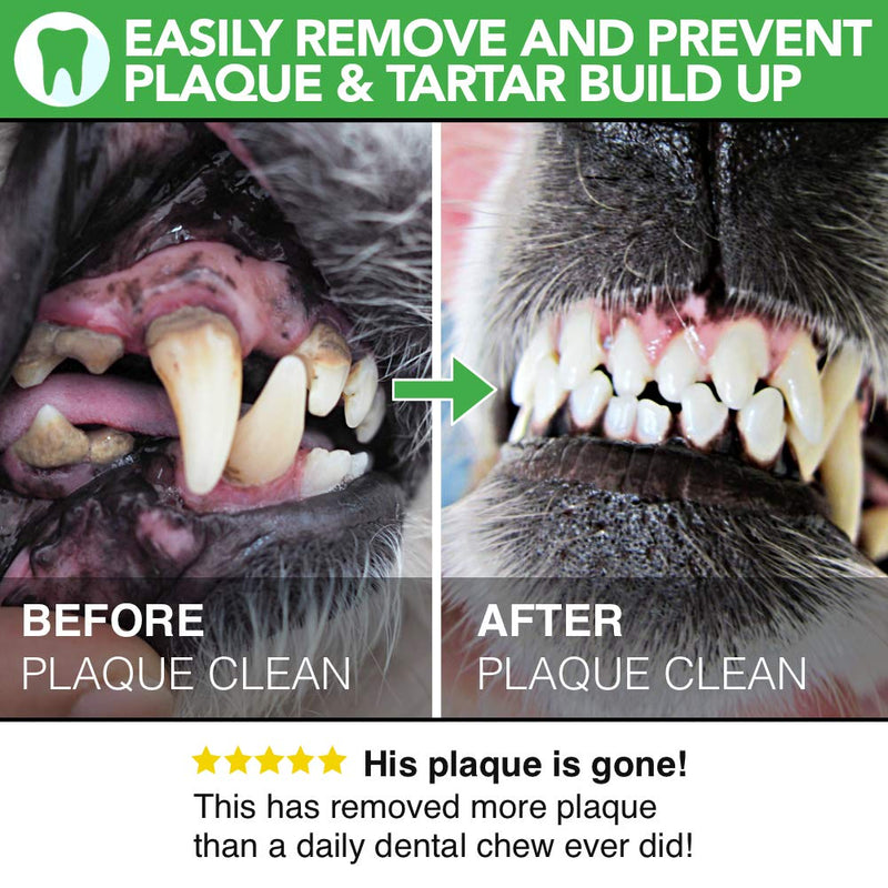 All Natural Plaque Clean | Cat & Dog Plaque Remover & Bad Breath Freshener Powder | 160-320 Servings | 160ml/100g | The Healthiest Choice in Pets Teeth Cleaning Products to Prevent Gum Disease - PawsPlanet Australia