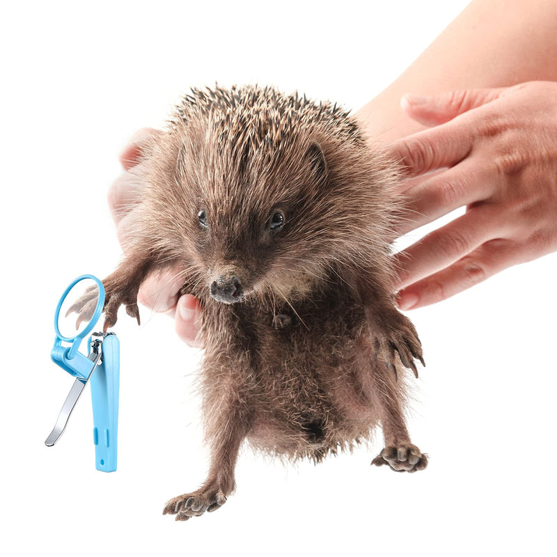 2 Pieces Hedgehog Bathing Brush with Nail Toenail Clipper with Magnifier Round Head Cleaning Bath Brush Nail Clipper Trimmer for Pet Hamster Small Animal - PawsPlanet Australia