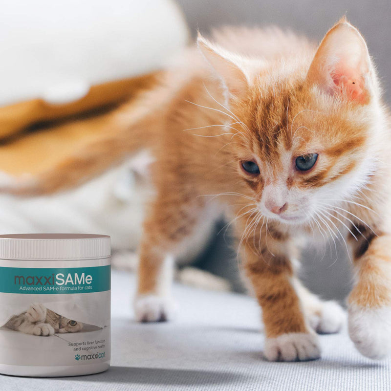 maxxipaws maxxiSAMe Advanced SAM-e Liver and Cognitive Supplement for Cats Given with Food, Powder 90 g 90g - PawsPlanet Australia