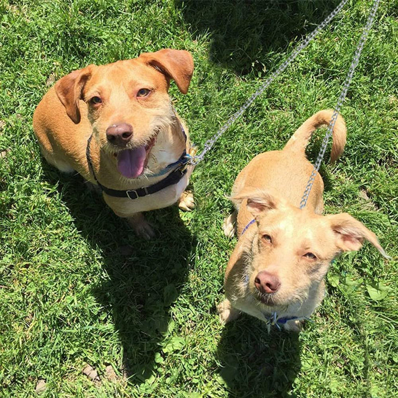 JVHLOV Double Metal Dog Leash, 360° Rotating Splitter for Two Dog Leashes, Double Dog Clutch, Double Leash, for Twins and Large Medium and Small Dogs - PawsPlanet Australia