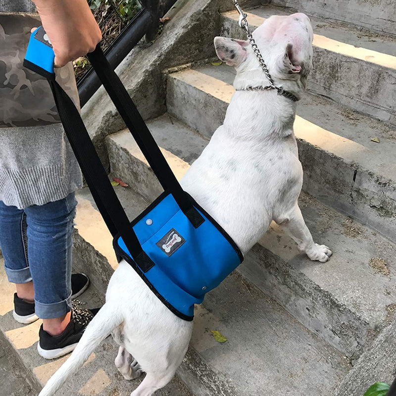 Tineer Dog Lift Harness Support Sling for Elderly or Disabled Dogs - Support Harness Rear Help Weak Legs Stand Up, Walk, Climb Stairs - Walking Auxiliary Belt for Medium Large Dogs (S, Blue) S - PawsPlanet Australia