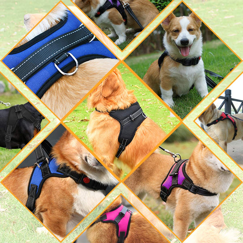 [Australia] - Musonic No Pull Dog Harness, Breathable Adjustable Comfort, Free Leash Included, for Small Medium Large Dog, Best for Training Walking S Purple 