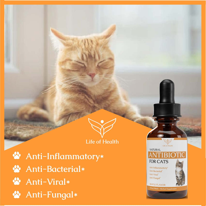 Natural Antibiotics for Cats - Cat Antibiotics - Cat Antibiotic - Pet Antibiotics - Cat Immune Support - Antibiotic for Cats - Cat Multivitamin - Cat UTI Antibiotics - 1 fl oz: Roast Chicken Flavor - PawsPlanet Australia