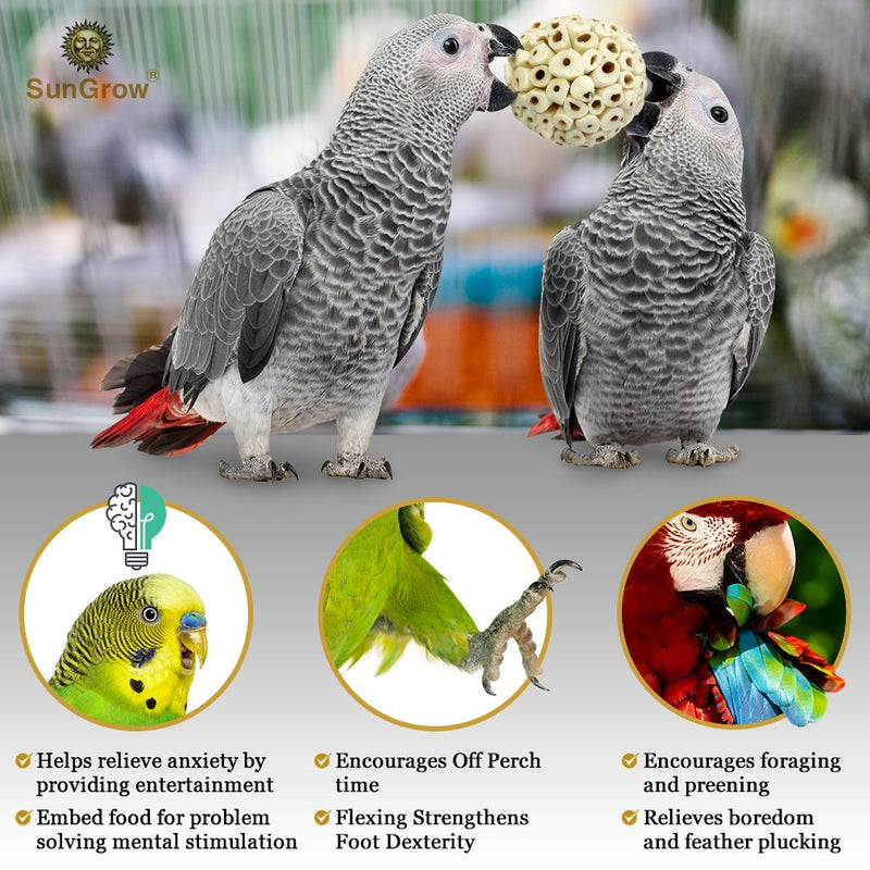 [Australia] - 3 Sola Atta Foraging Balls (2”) --- Satisfies Natural Pecking Instincts in Parrots, Cockatiels & Parakeets - Dental Chew Ball for Chinchillas, Rats, Mice & Guinea Pigs - Unique Addition to DIY Home D 