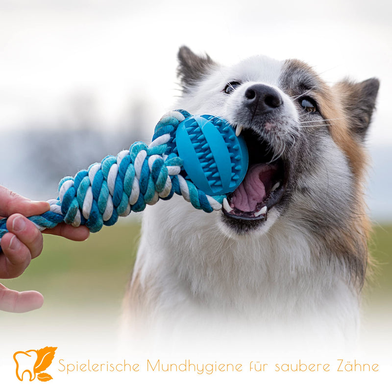 PAWDY dog rope with ball for fun and dental care - Robust dog toy for medium & large dogs - Chew toy with nubs made of natural rubber - Ball rope throwing toy for dogs (blue) Blue - PawsPlanet Australia