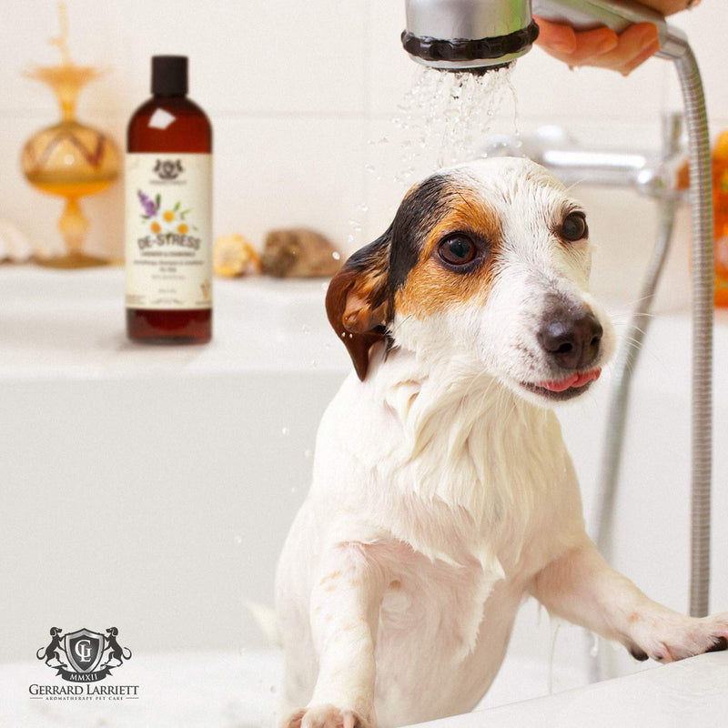 [Australia] - Aromatherapy Shampoo & Conditioner for Pets Dog Shampoo, Medicated Oatmeal Dog Shampoo & Pet Odor Eliminator Lavender & Chamomile 