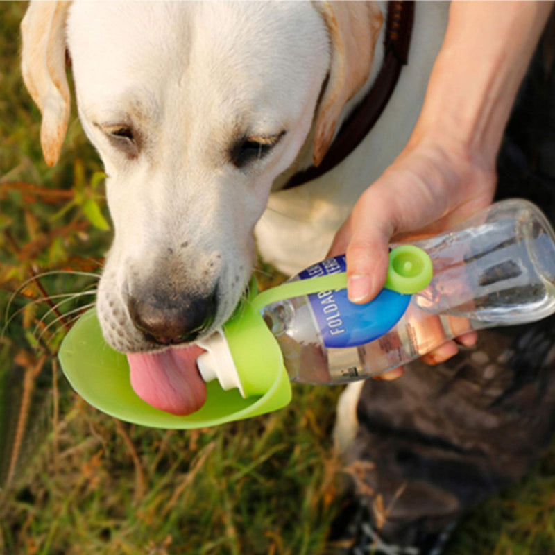 RoyalCare Portable Pet Water Bottle, Reversible & Lightweight Water Dispenser for Dogs and Cats, Made of Food-Grade Silicone (Green) - PawsPlanet Australia