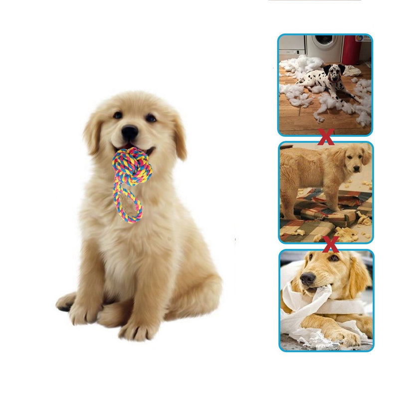 Janlyy Pet Dog Toys Dog Chew Rope Toys Set Non-toxic Material Durable Interactive Toys for Puppy Medium Dogs(5 Pack, Random Color) - PawsPlanet Australia