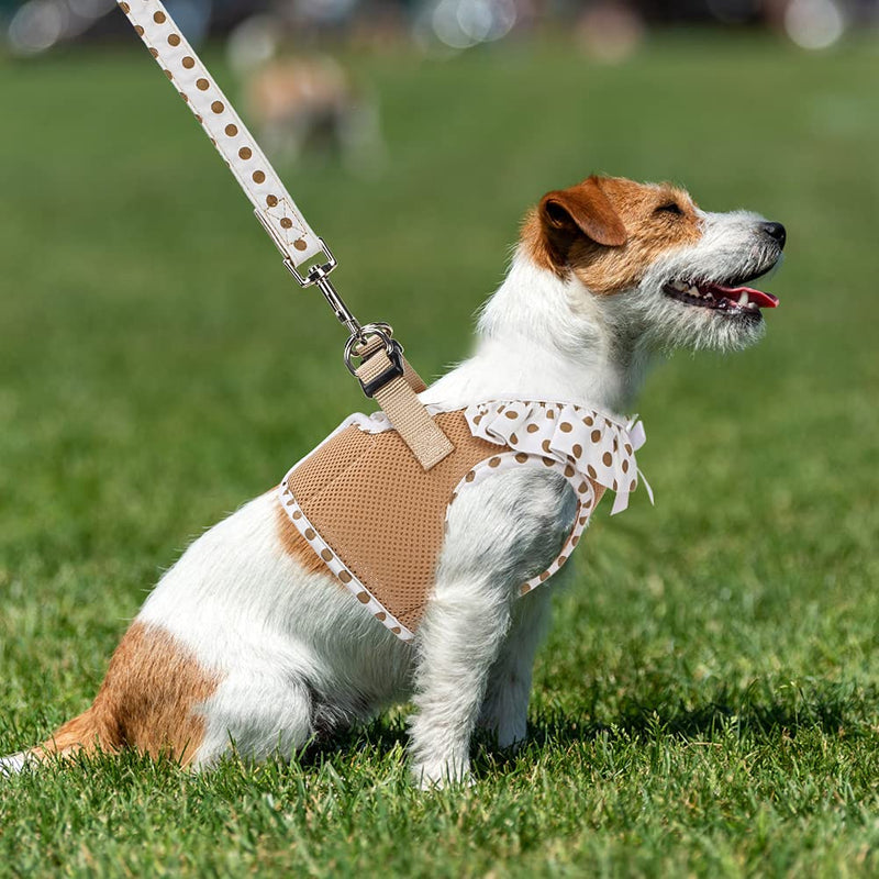 Puppy Harness and Leash Set for Small Dogs Cats - Soft Mesh Adjustable No Pull Dog Vest Harness with Cute Polka Dot and Bowknot S: Chest Girth: 12-14",Leash: 0.6*59" Beige - PawsPlanet Australia