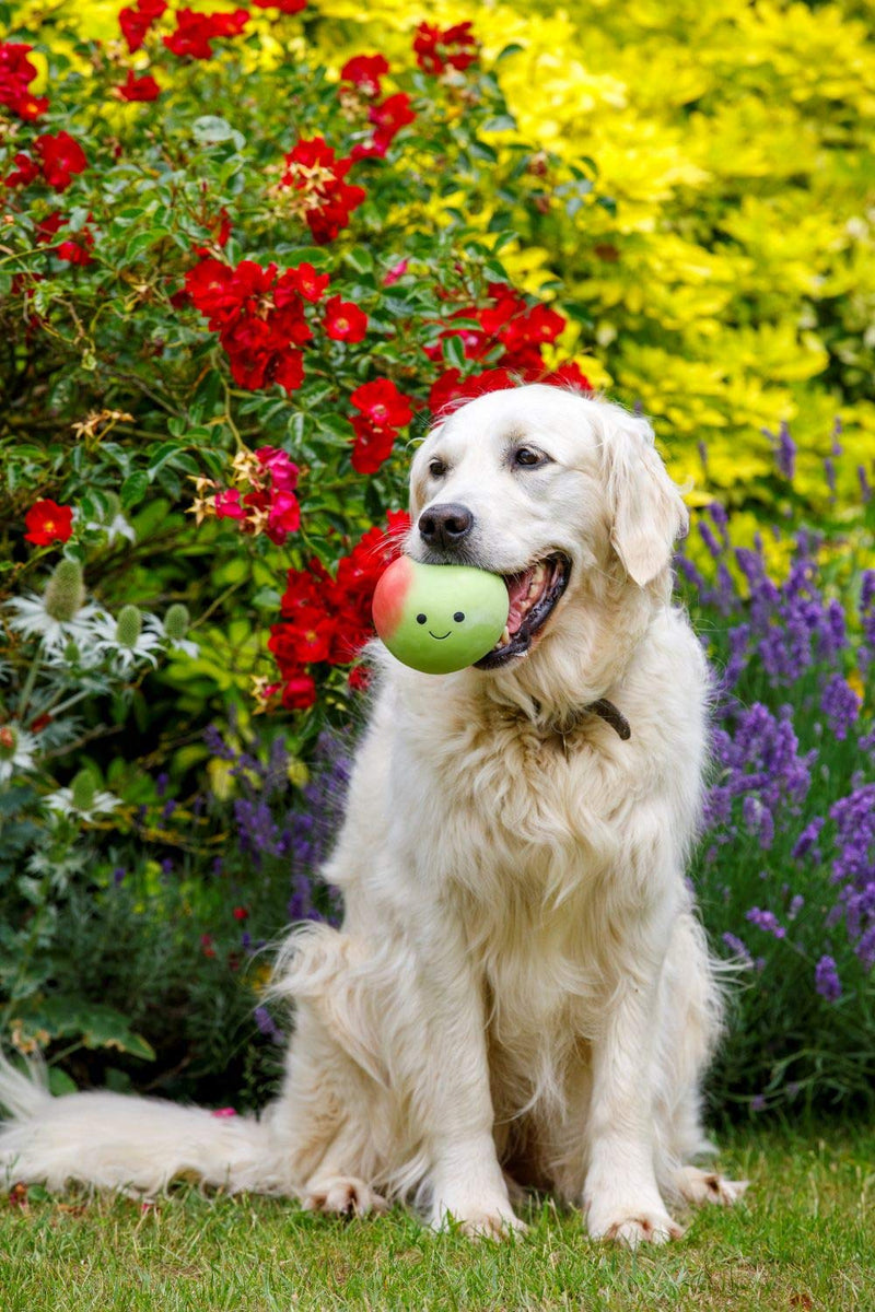 Petface Latex Apple Soft Chew Dog Toy, Large - PawsPlanet Australia