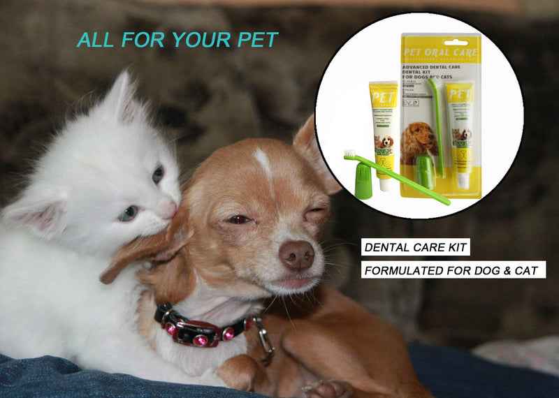 Dolzzeiy Dog Dental Care Oral Teeth Care Eliminates Bad Dog Breath with Beef Flavor Scent Toothpaste,Long Toothbrush and Finger Toothbrushes Remove Tartar & Plaque for Cats and Dogs - PawsPlanet Australia