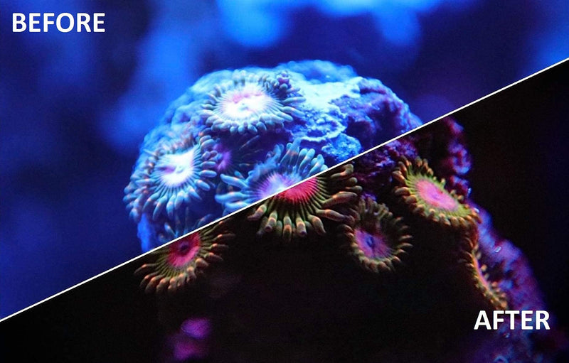 Kraken Reef UV Coral Viewing Glasses - PawsPlanet Australia