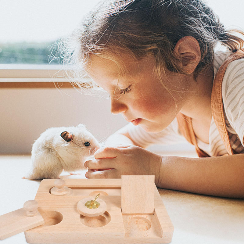 Funmo guinea pig toy, hamster toy made of wood, small animal toy, 6 in 1 wooden toy for foraging, for hamsters, guinea pigs, chinchillas, gerbils, dwarf hamsters - PawsPlanet Australia