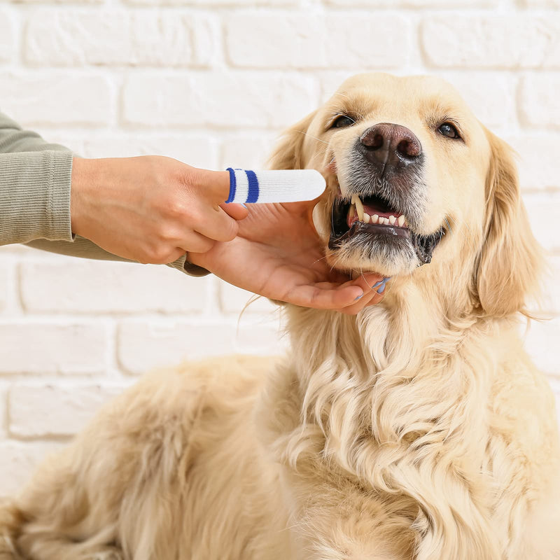 OusSee Pack of 10 Dog Toothbrush Finger Cots Reusable Pet Finger Toothbrush Finger Cots Dogs Dental Care Pet Toothbrush for Cats Pets Animal Supplies (5×Blue, 5×Yellow) - PawsPlanet Australia