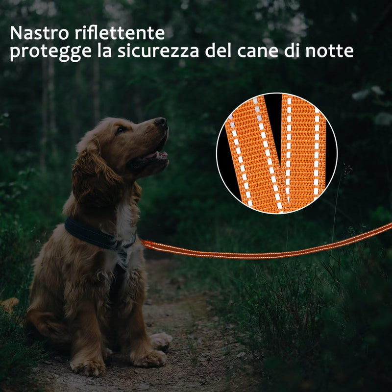 COMSLE drag leash for dogs, 3 m / 5 m / 10 m / 15 m / 20 m, robust long dog leash, reflective training leash with padded handle and hand strap, training leash for small to large dogs - PawsPlanet Australia