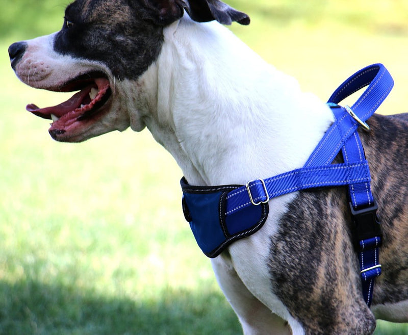 [Australia] - Max and Neo Passport Reflective Dog Harness - We Donate a Harness to a Dog Rescue for Every Harness Sold LARGE (23"-30" CHEST GIRTH) PINK 