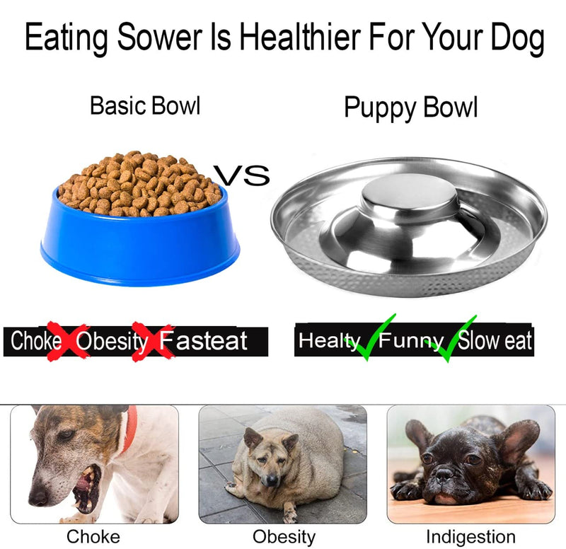 King International Stainless Steel 2 Puppy Bowls,Puppy Food Bowl,Puppy Bowls for Small Dogs,29cm,Puppy Bowl,Puppy Supplies,Puppy Feeder,Puppy Feeding Bowls for Litters - PawsPlanet Australia