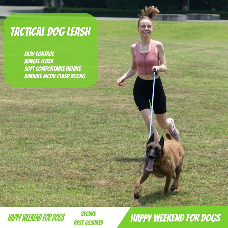 GLORYPET Dog Leash Heavy Duty, 5FT/6 FT Dog Leashes for Small Puppy Medium Large Breed Dogs with Comfortable Handle, Reflective Rope Pet Leash for Night Safety Walking (5 FT- 1/2", Green) - PawsPlanet Australia