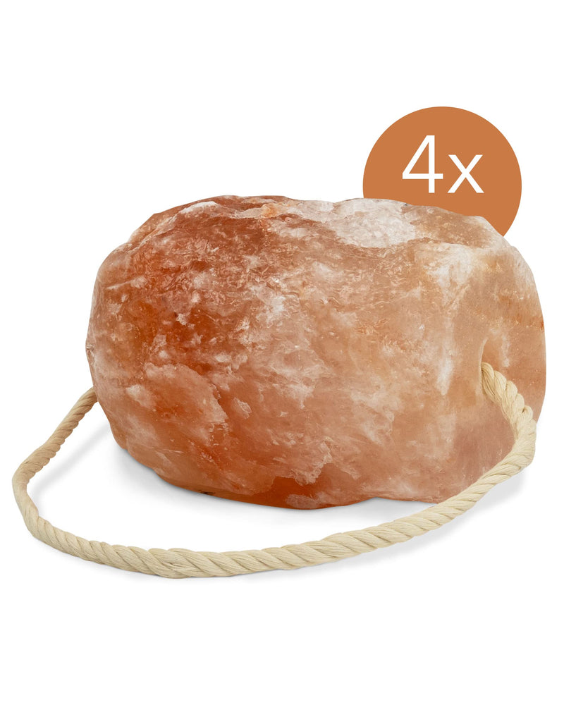High-quality salt lick stone “Rock Crystal” 4 x lick stones with cord, total approx. 8 kg, for horses, sheep, cattle, game, livestock salt - mineral lick stone - premium lick stone - PawsPlanet Australia