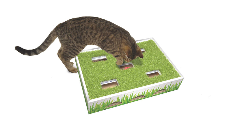 [Australia] - Petstages Cardboard Cat Scratchers - Cat Scratcher Lounge and Cat Games Hunting Box 