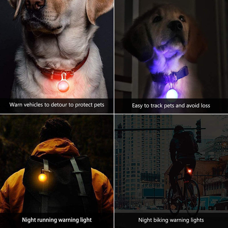 Phorris LED Pet Safety Warning Light,Clip-on Collar Lamp & Pendant,for Dog Cat Night Walking Running.Button Battery included. Waterproof,Multi-color,6 pcs in 1 pack. - PawsPlanet Australia