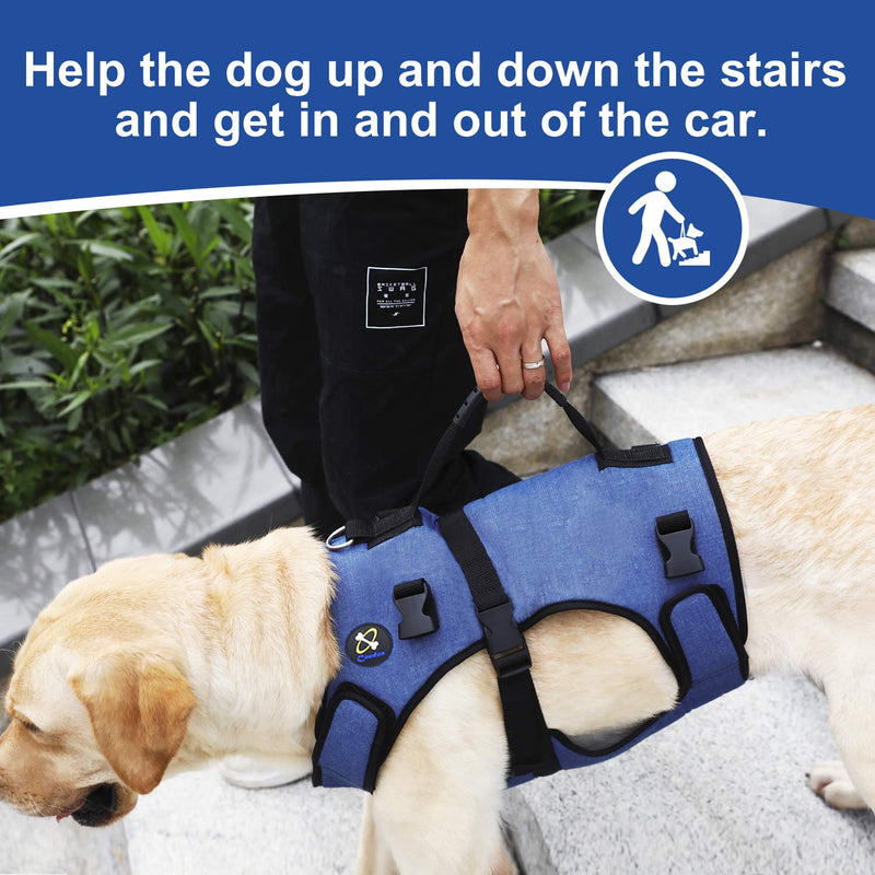 [Australia] - COODEO Dog Lift Harness, Full Body Support & Recovery Sling, Pet Rehabilitation Lifts Vest Adjustable Breathable Straps for Old, Disabled, Joint Injuries, Arthritis, Paralysis Dogs Walk Large 