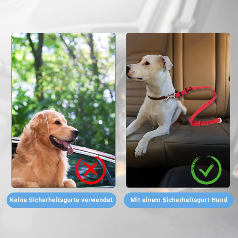 Lollanda Dog Car Seat Belt, Dog Belt for Car Seats with Reflective Strips and Buffer Ropes, Adjustable Dog Belt for Large, Medium and Small Dogs (Red) Red - PawsPlanet Australia