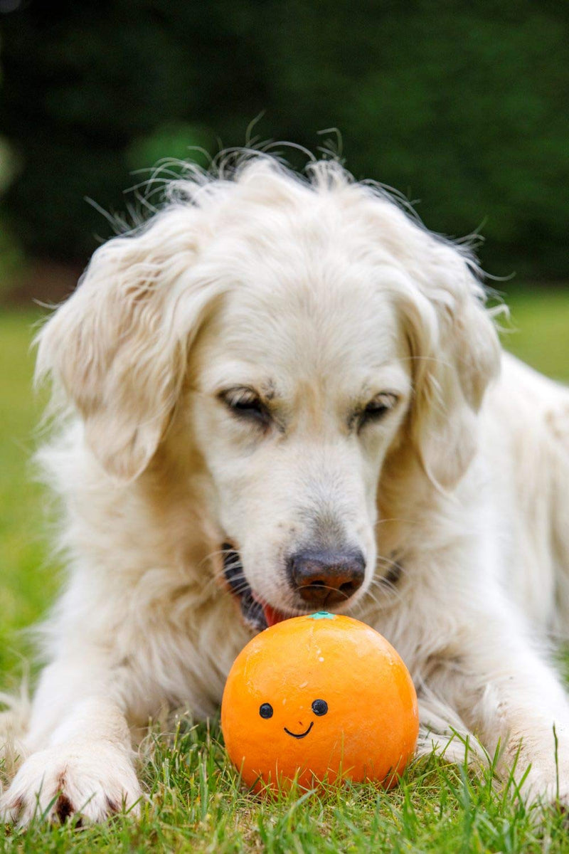 Petface Latex Orange Soft Chew Dog Toy, Small - PawsPlanet Australia