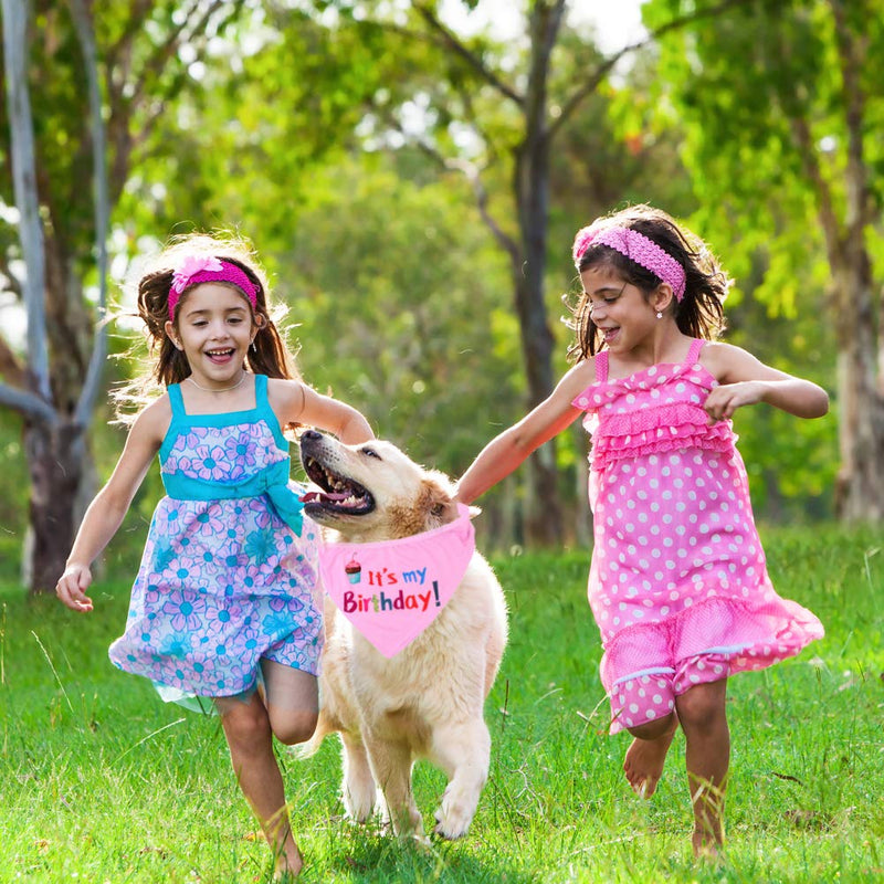 SwirlColor Dog Birthday Hat Bandana Sets, Pink Meaningful Cute Dog Happy Birthday Hat Dog Birthday Scarf, with 10Pcs Photo Clips - PawsPlanet Australia