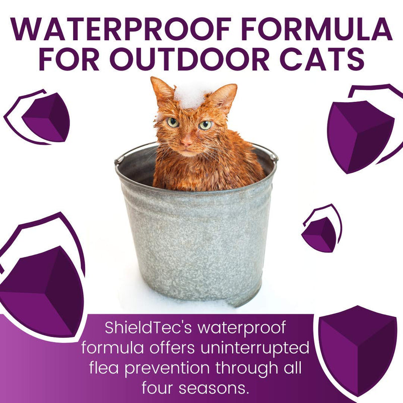 ShieldTec Flea and Tick Prevention for Cats, Kills Chewing Lice, Cat Flea Treatment 6 Dose - PawsPlanet Australia