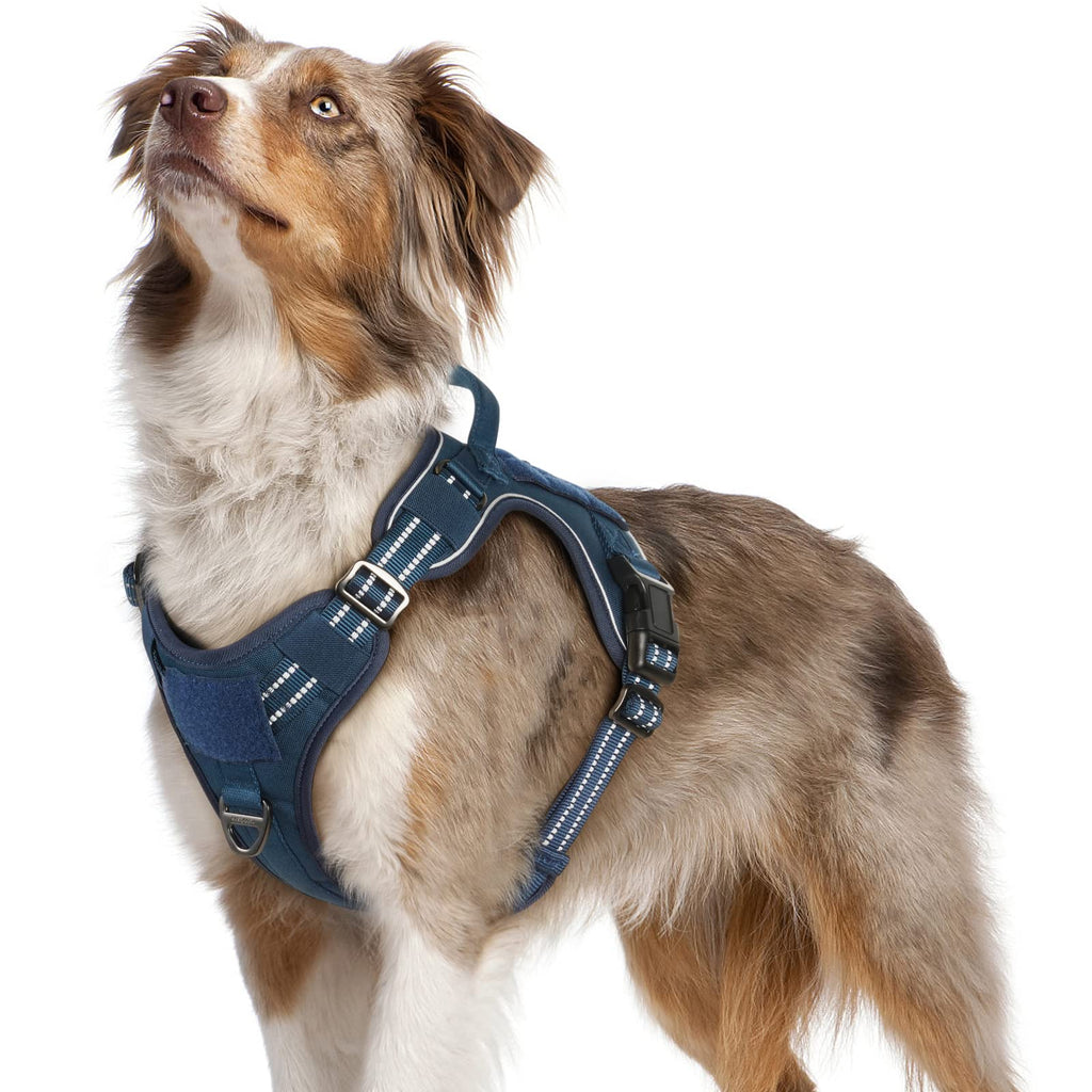 rabbitgoo Dog Harness for Medium Dogs, Anti-Pull Harness Dog Adjustable with Widened Handles, Robust and Wear-Resistant, Tactical Dog Harness with Metal Buckles for Hiking (M, Blue) M (Pack of 1) - PawsPlanet Australia
