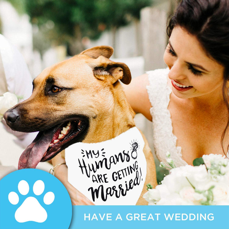 My Humans are Getting Married Dog Bandana, Wedding Dog Bandana, Dog Engagement Announcement, Wedding Photo Prop, Pet Scarf, Pet My Humans Are Getting Married - PawsPlanet Australia