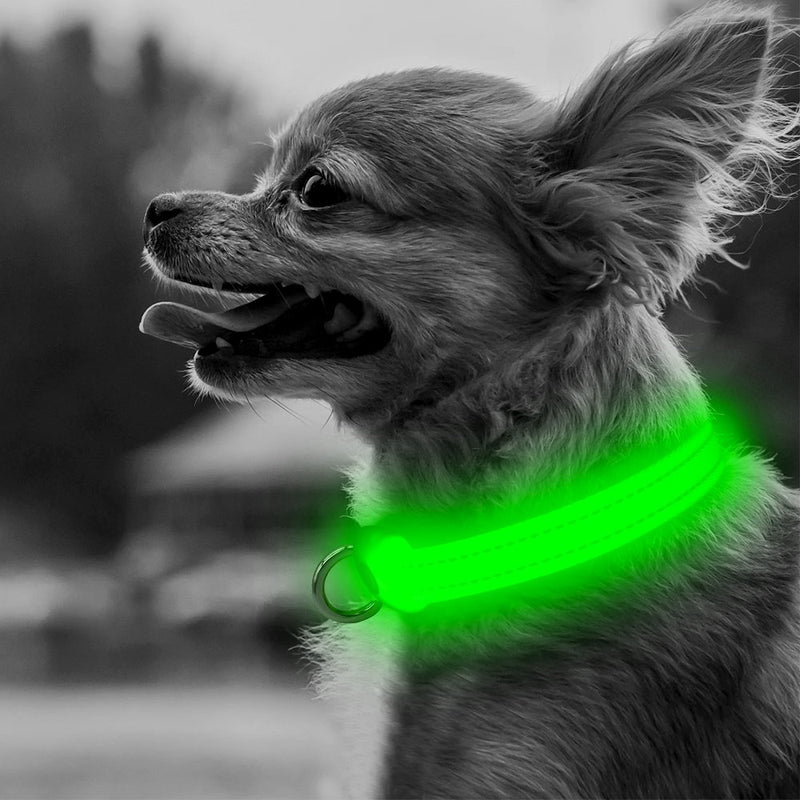 [Australia] - BSEEN Reflective Dog Collar& Leash Set, Double Layer Nylon Webbing Pet Collar& Leash Reflective Tapes, Pet Accessories Small Medium Large Dogs XS Green 